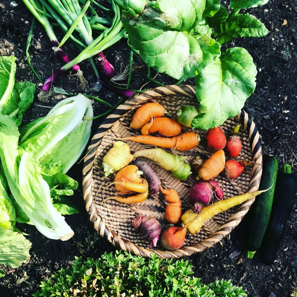 Misshapen vegetables that are used to make ChicP hummus and veggie bites