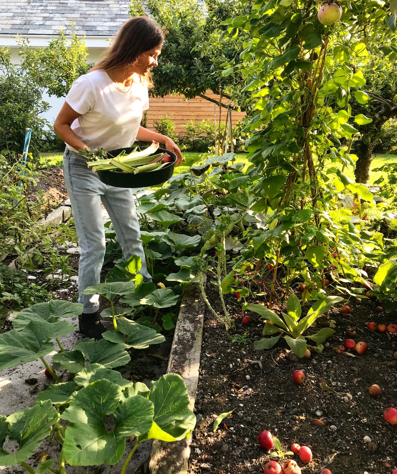 ChicP Founder, Hannah McCollum, in her organic vegetable garden. She has a basket filled with green vegetables as she goes to pick more vegetables from her plants